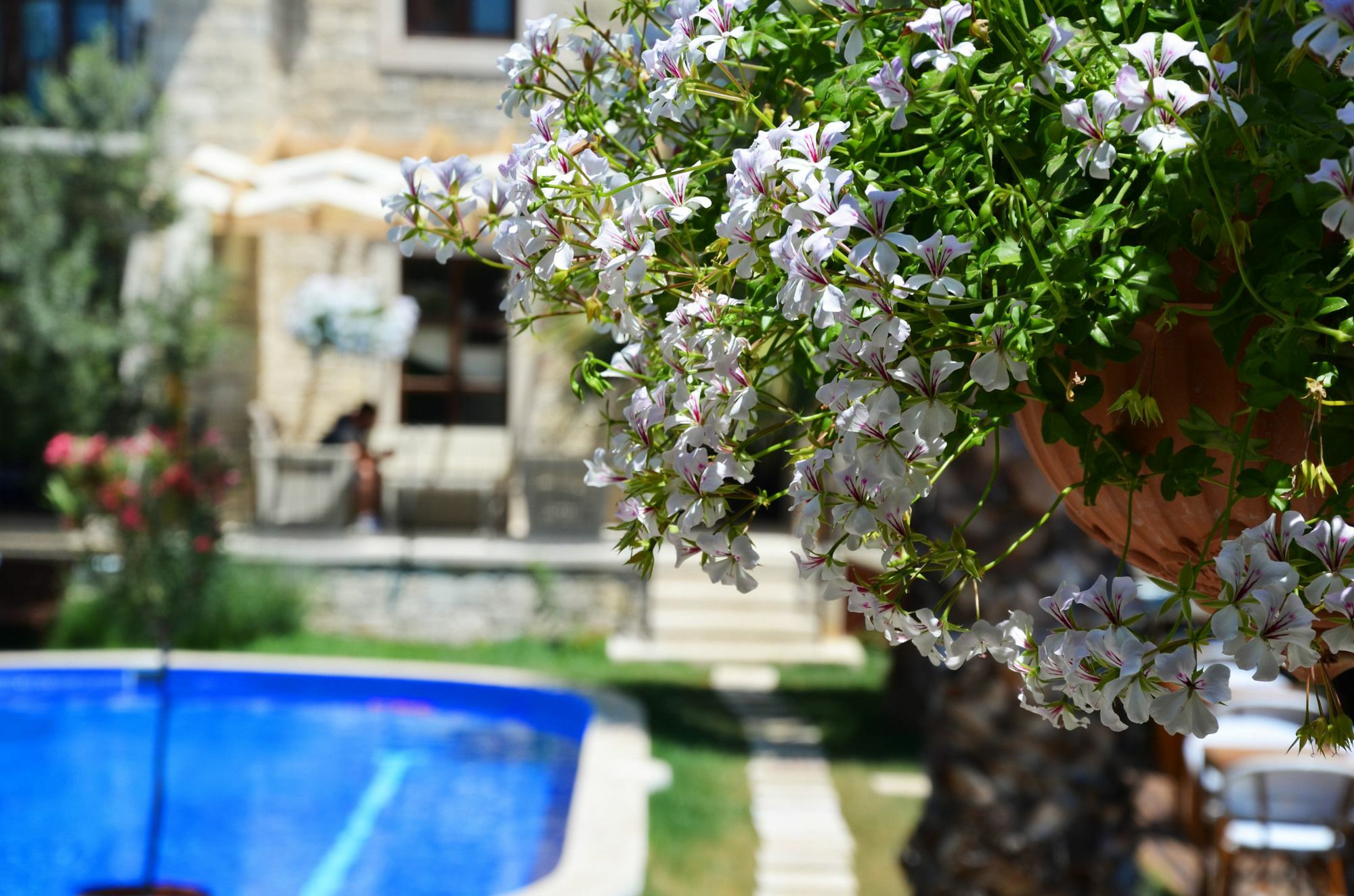 Tasquartas Hotel Alacati Exterior photo